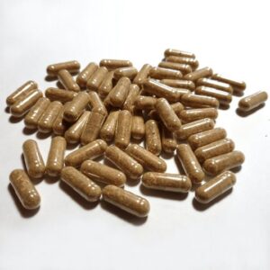 Buy Iboga Capsules