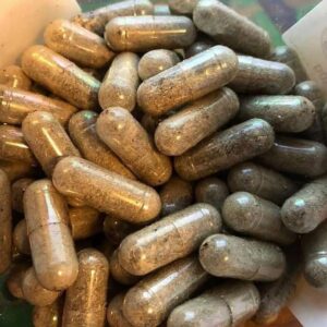 Buy Pure Iboga capsules